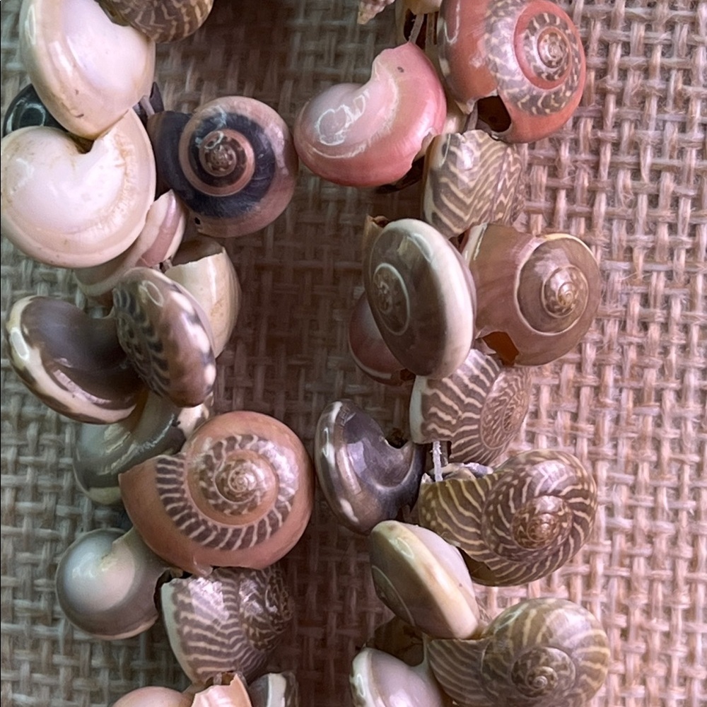 Chic Natural Shell Necklace - Picture 4 of 7